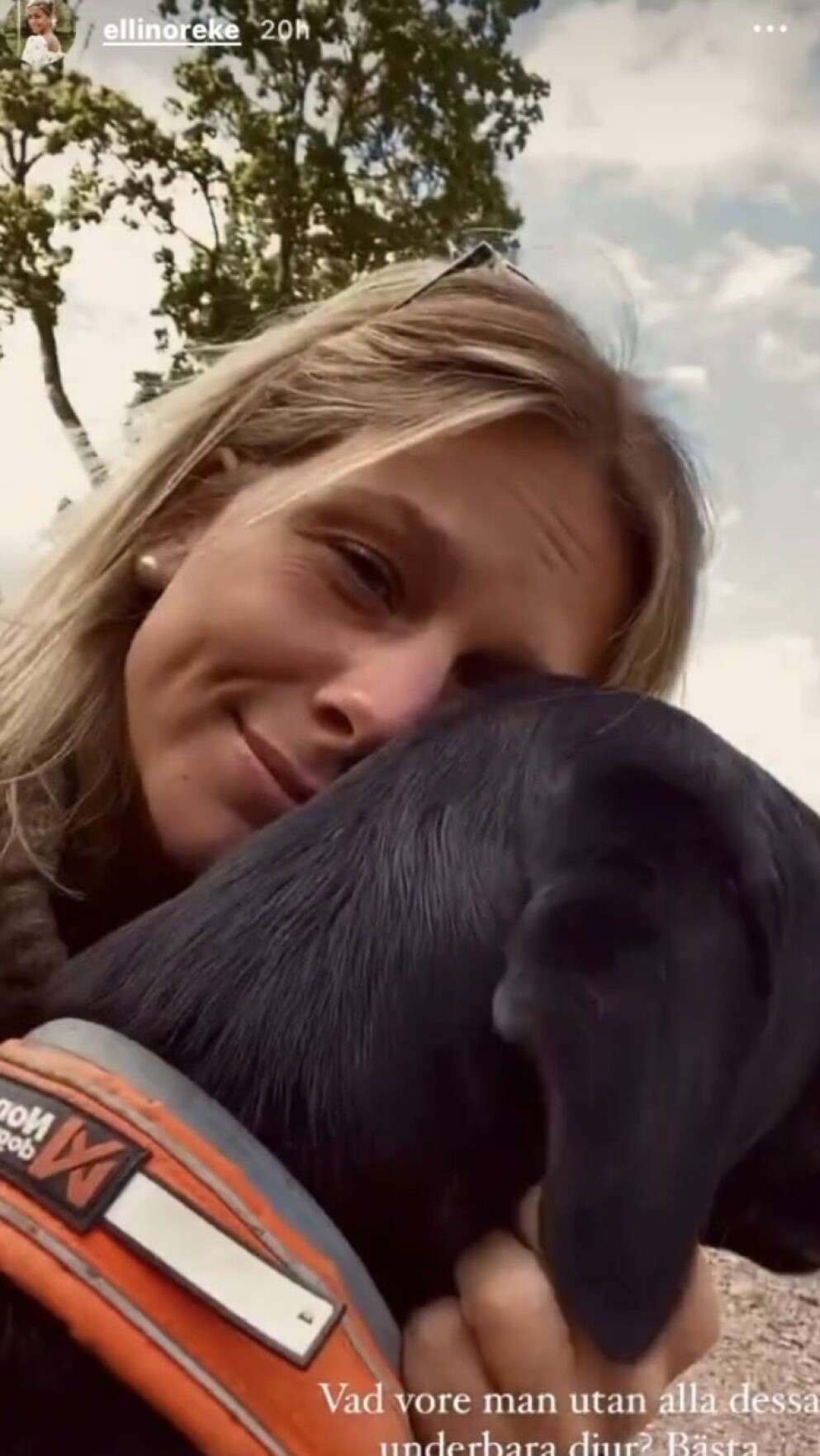 Ellinor kramar sin hund. Ellinor kramar sin hund.