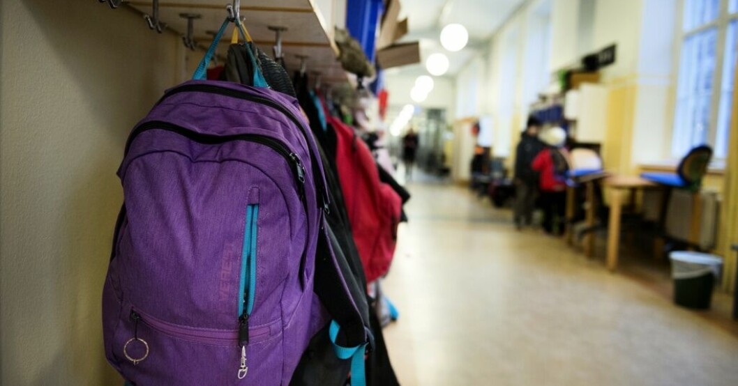 Variant på insyn i friskolor utreds