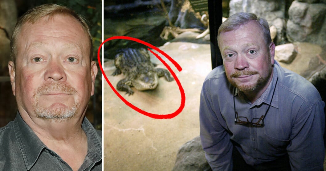 Jonas Wahlström på Skansen med krokodil i bakgrunden.