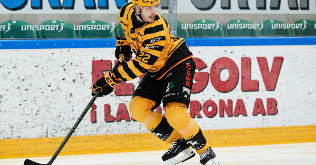 Skellefteå utjämnade mot Rögle: "Otroligt viktigt"