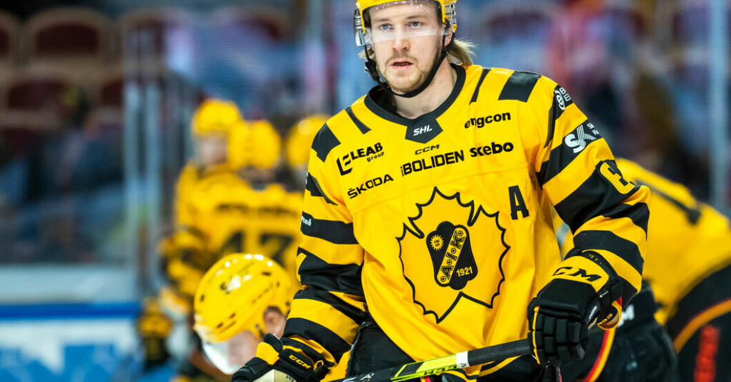 Jonathan Pudas. Arkivbild. Jonathan Pudas tilldelas Salming Trophy