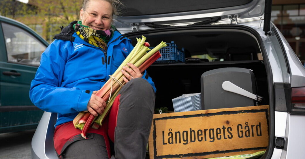 Jordbrukaren Stina Dahlquist från Långbergets gård säljer närproducerade varor via en rekoring på Stortorget i Östersund. Fler kunder vill runda matjättarna