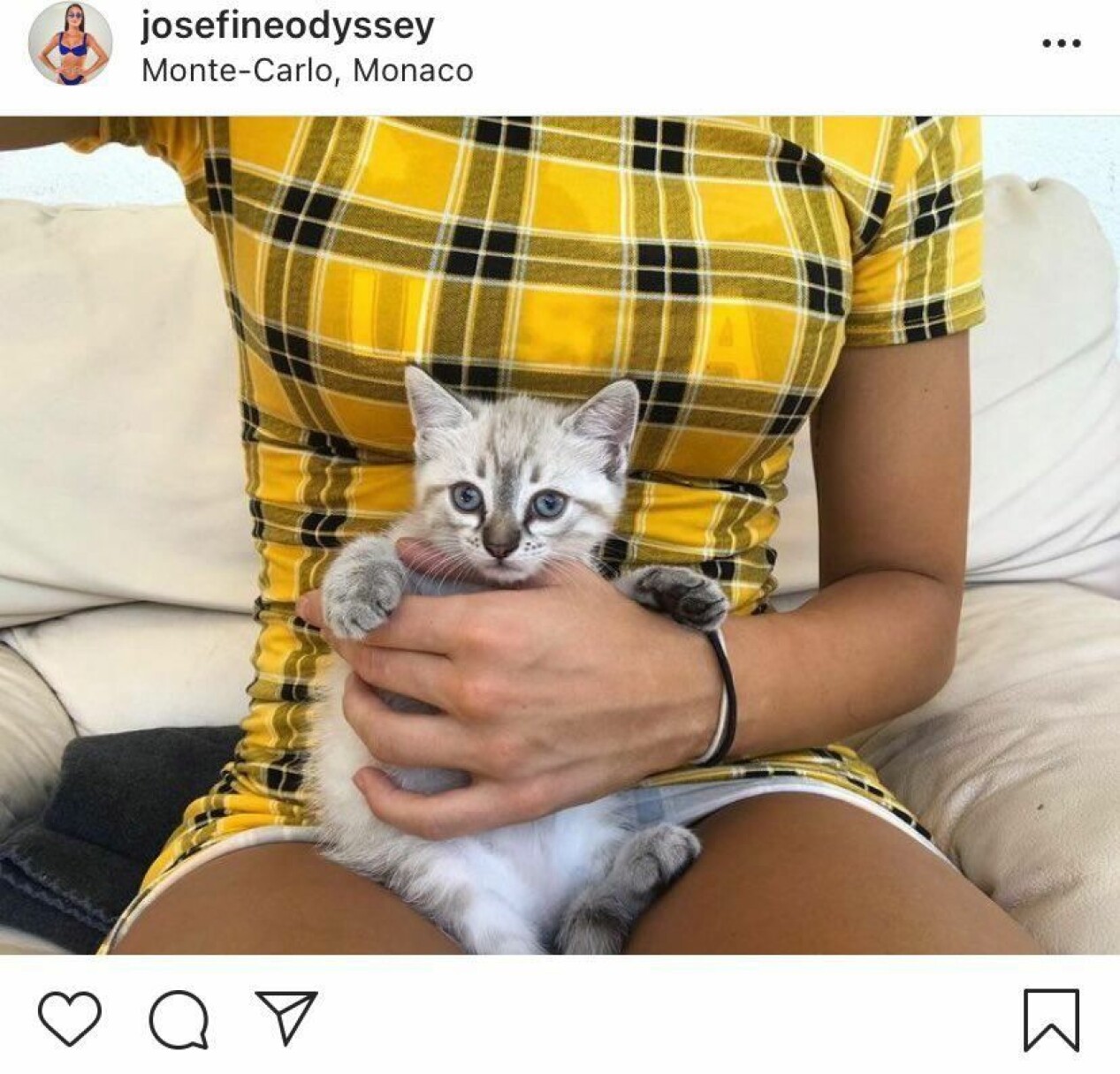 Josefine Rimsberg tycker om katter
