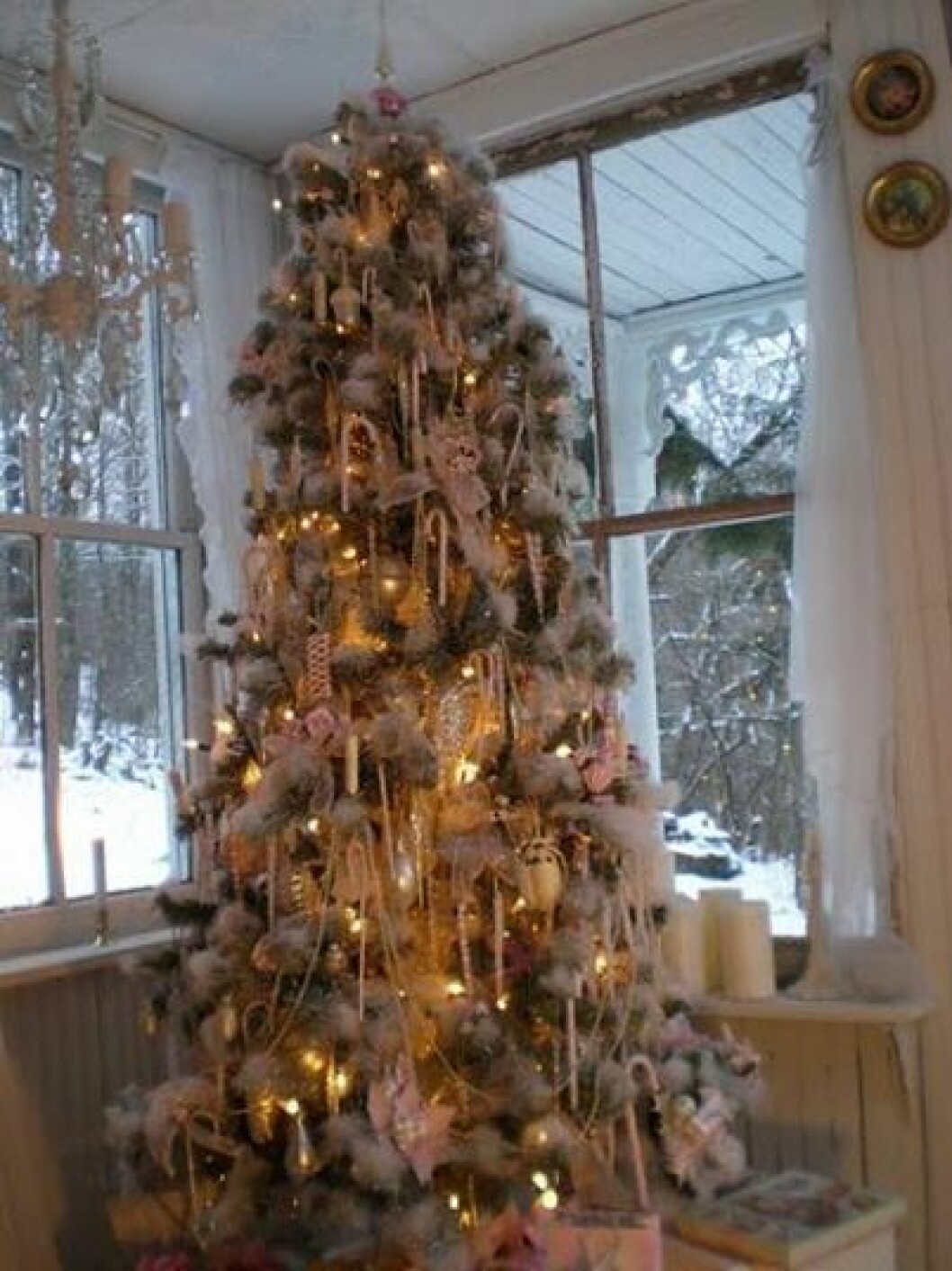 julgran 10