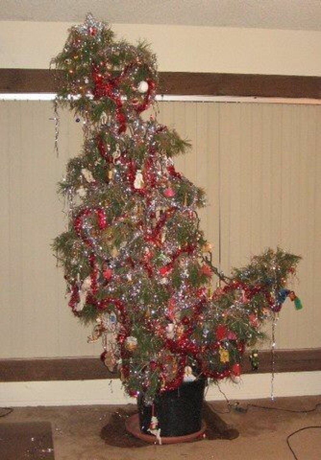 julgran 12