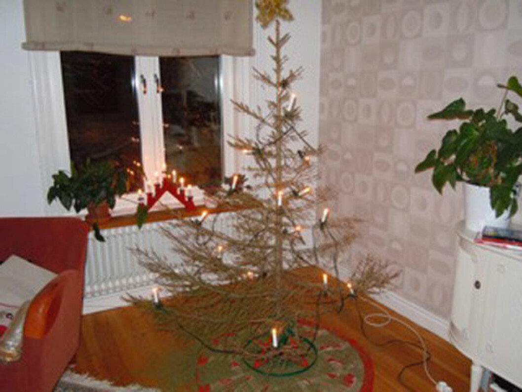 julgran varför överhuvudtaget