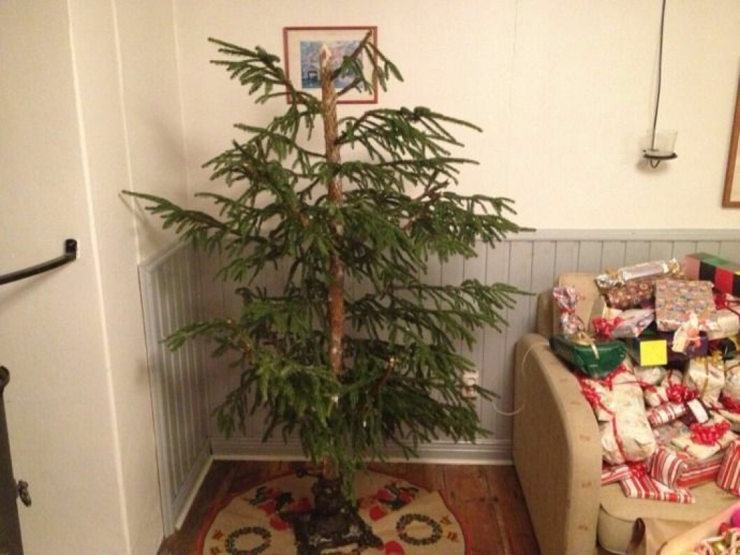 julgran_snälla dek den inte