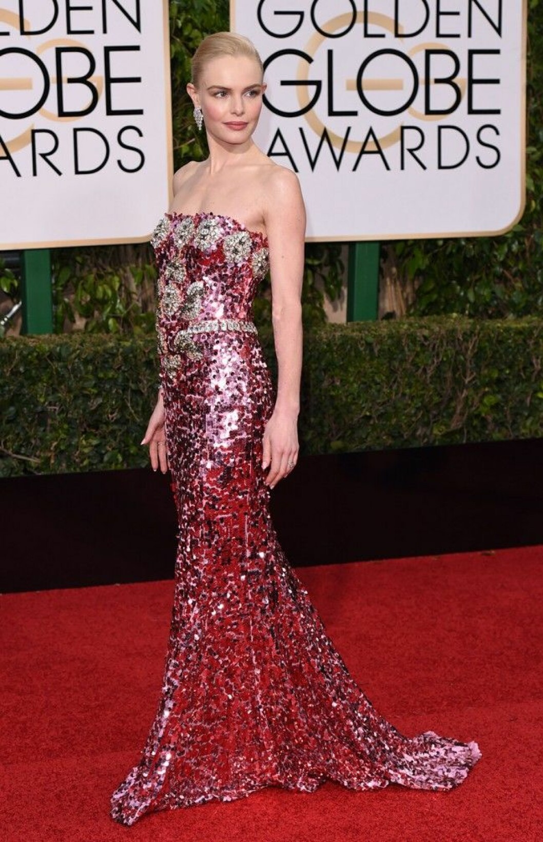 Kate Bosworth