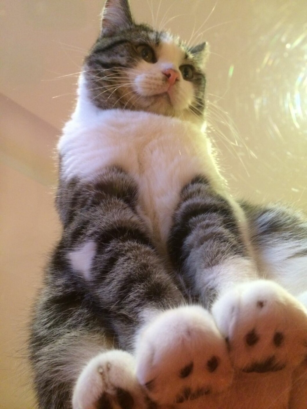 Foto: <a href="http://how-many-ways.tumblr.com/post/93604553590/needless-to-say-i-was-very-happy-when-my-friends" target="_blank">Tumblr</a> katt3