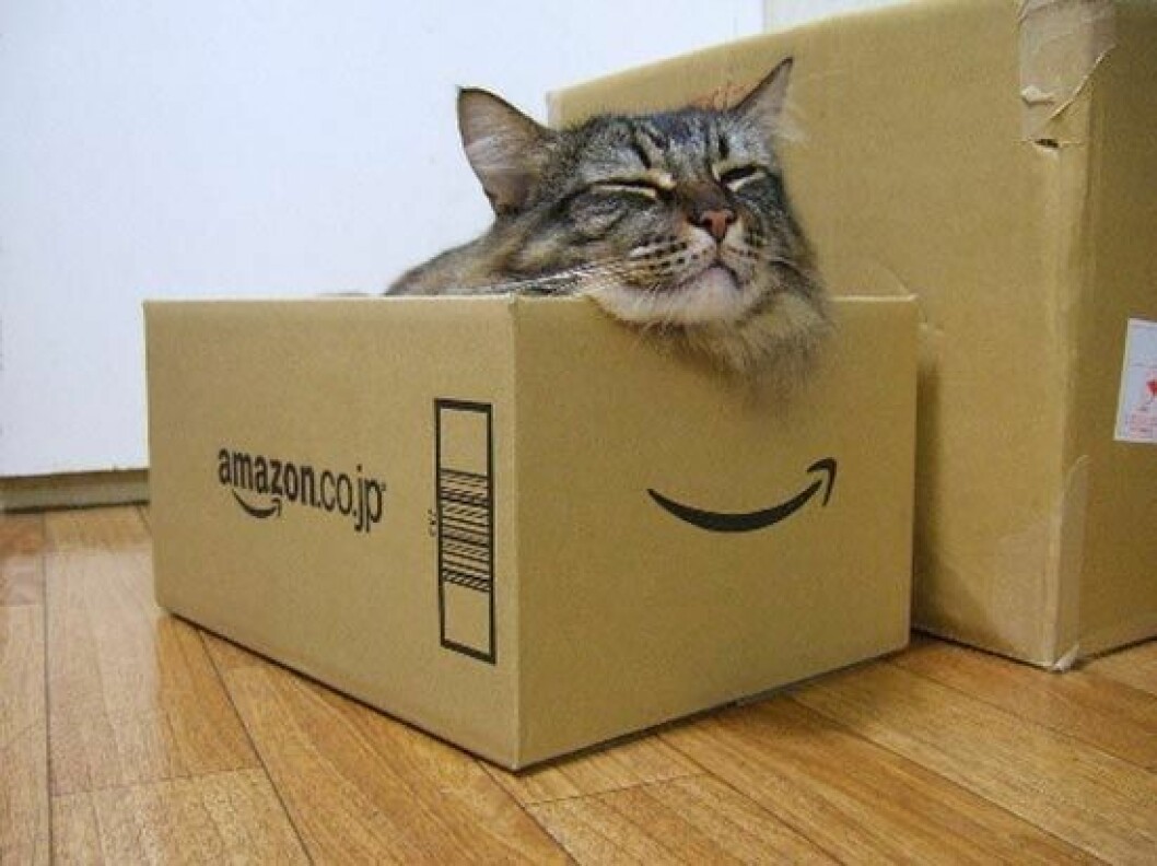 katt-kartong