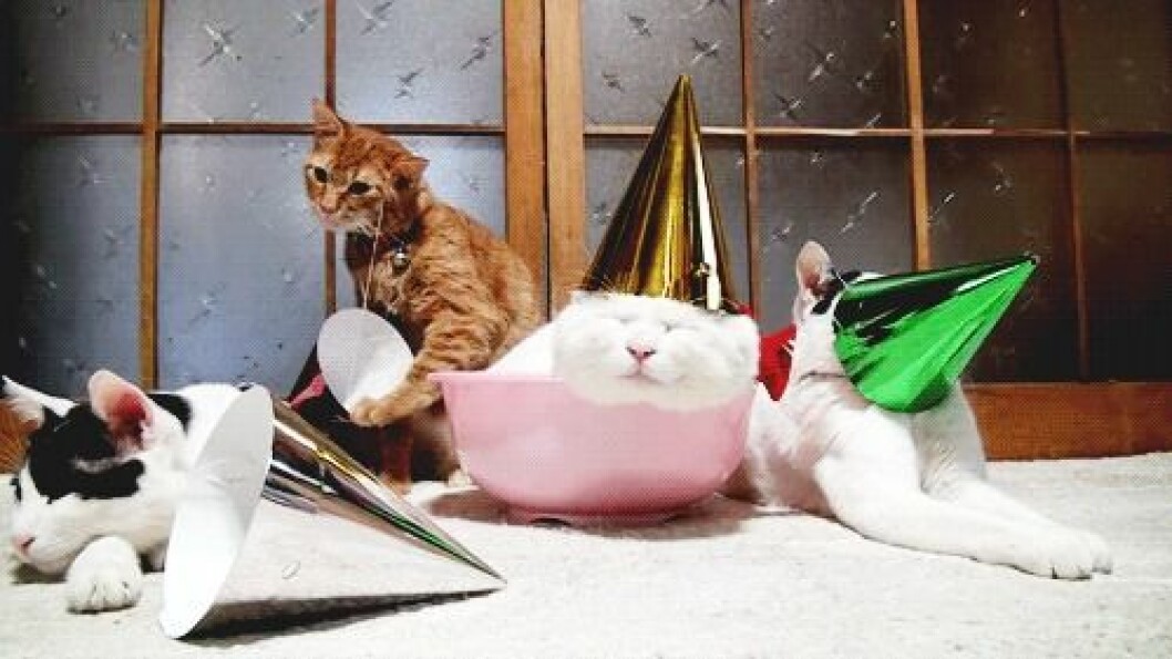 Via: <a href="http://giphy.com/gifs/party-PKAR7jz7tr8qY" target="_blank">Giphy</a> Via: Giphy