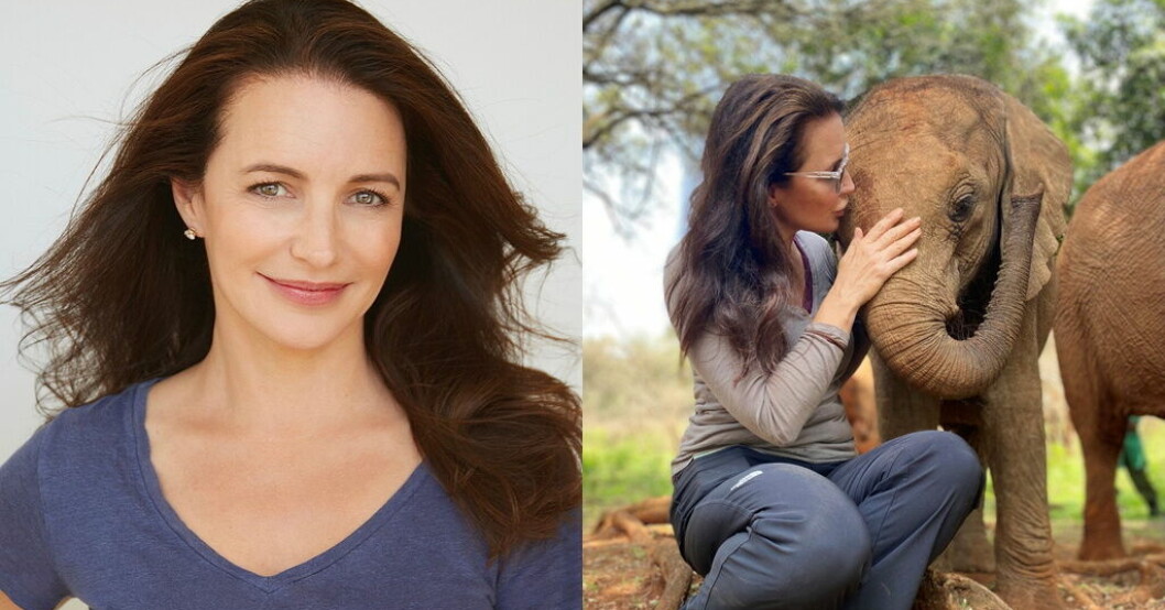 Kristin Davis har under många år varit engagerad i kampen mot tjuvjakt på elefanter i Afrika. Hollywoodstjärna får svenskt naturpris