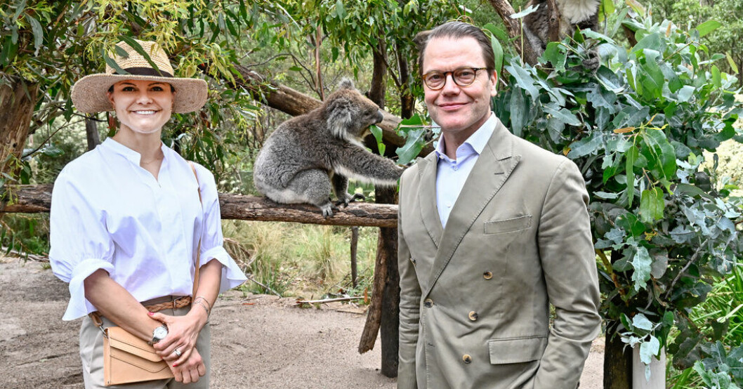 Kronprinsessan Victoria och prins Daniel inledde på måndagen det officiella besöket i Australien och besökte ett rehabiliteringscenter för koalor i nationalparken Namadgi i Canberra. Victoria i Australien: "Verkligen berörande"