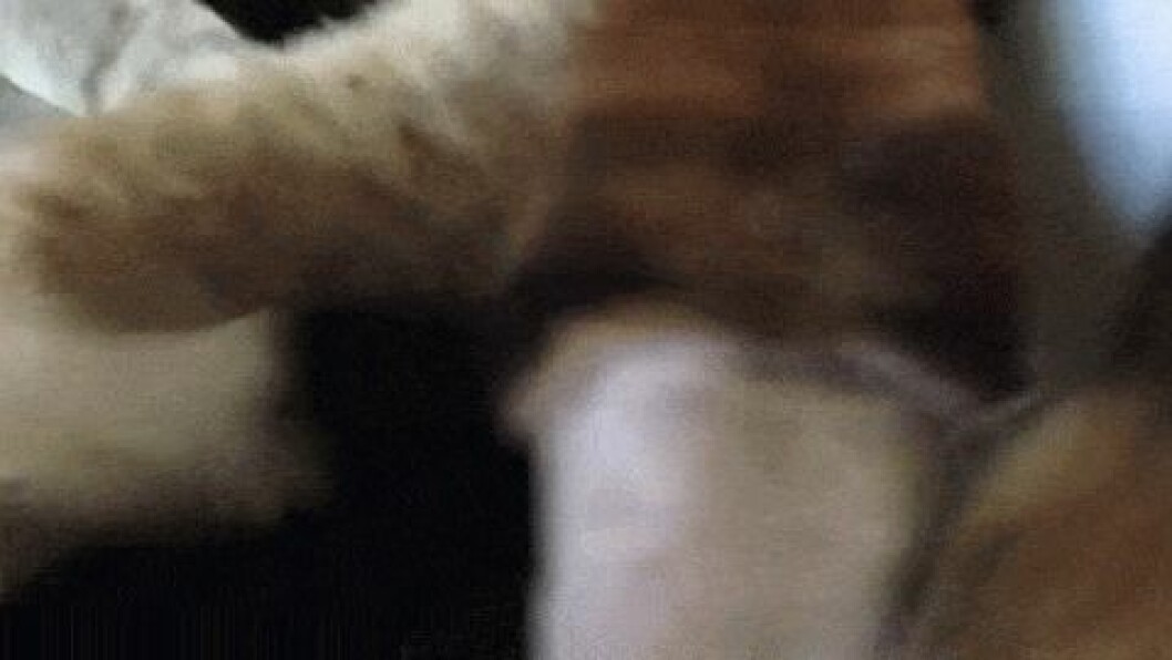 Via: <a href="http://i0.wp.com/boingboing.net/wp-content/uploads/2015/04/KrQGDX.gif?resize=480%2C270" target="_blank">Boingboing.net</a> Via: Boingboing.net