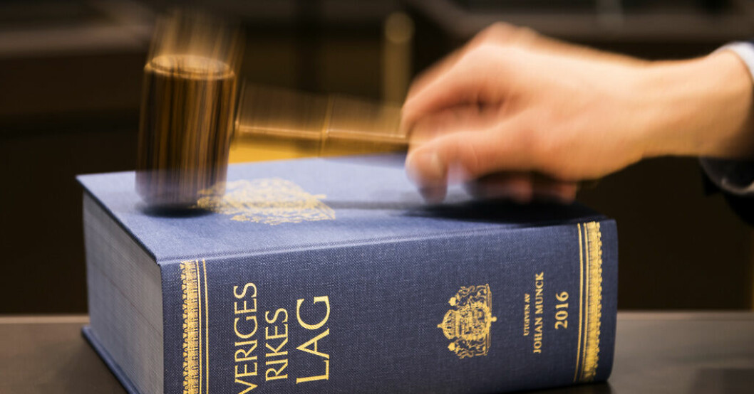 Kvinnan gick sommaren 2021 till attack mot ett flertal pilträd och döms nu för skadegörelse. Arkivbild. Äldre kvinna döms för yxattack mot pilträd