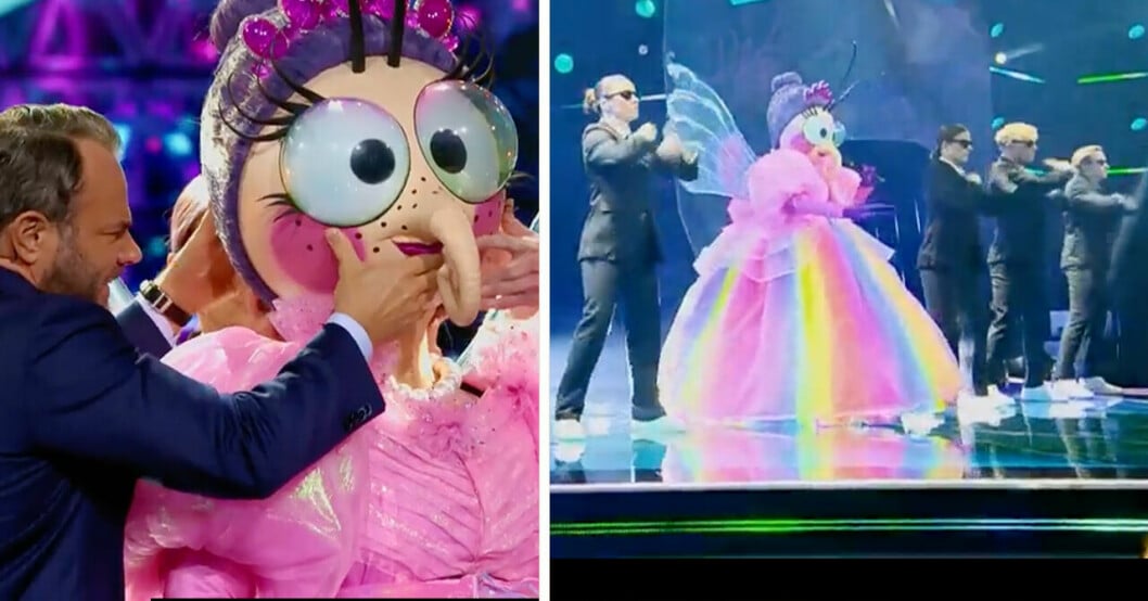 Masked singer.
