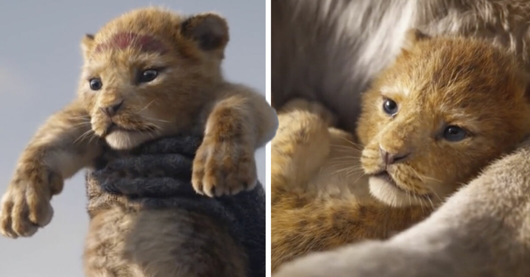 Disneys nya Lejonkungen trailer