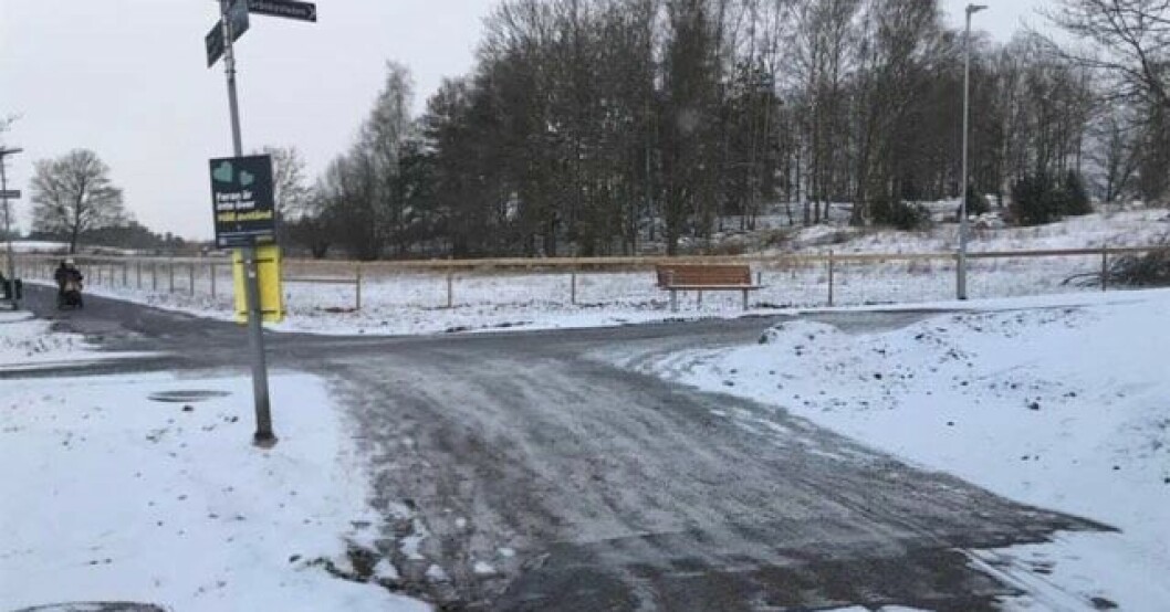 Lena Carlsson cyklade vid Gränbyparken i Uppsala. Hundarna sprang bredvid. Plötsligt började de pipa och skrika och springa på tre barn. Gränbyparken i Uppsala