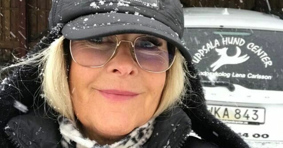 Lena Carlsson från Uppsala berättade om händelsen på Facebook. Inlägget fick stor spridning och flera hundägare kommenterade att de varit med om samma sak i andra delar av stan. Lena Carlsson