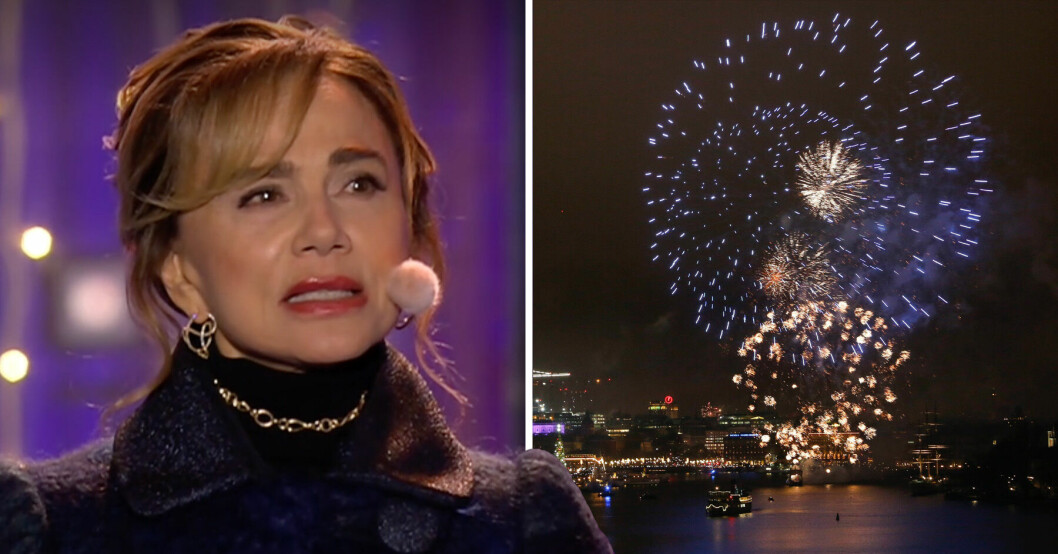 Lena Olin hade knappast ett billigt plagg när hon läste ”Nyårsklockan”