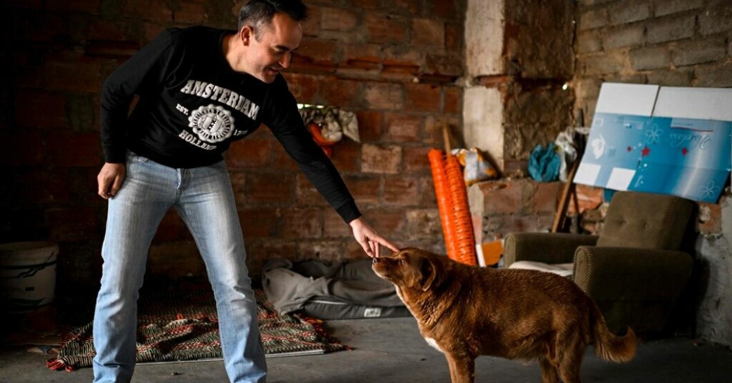 Leonel Costa, 38 år, med sin nu 31 år gamla Bobi. Bild från februari 2023. Han är världens äldsta hund – nu firas han