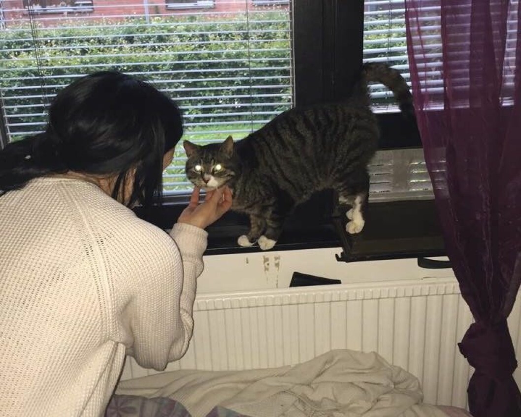 Linda Axéll Eriksson trodde att hon förlorat Musse för alltid. Efter elva år kom han tillbaka. Foto: Privat Foto: Privat