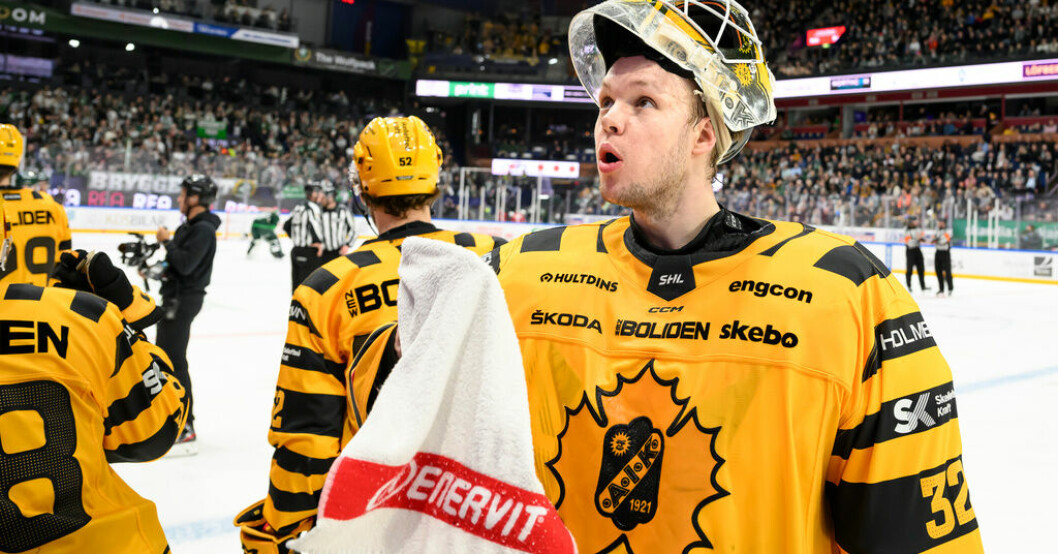Linus Söderström förlänger med Skellefteå. Arkivbild. Succémålvakten stannar i Skellefteå
