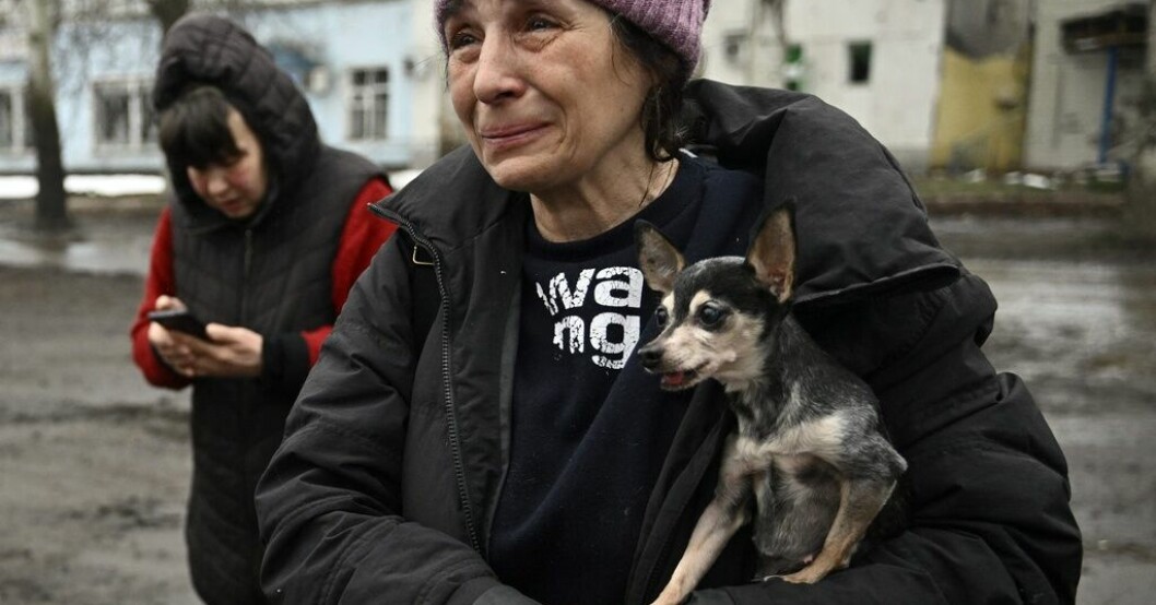 Ljuba anlände på måndagen från Bachmut till Tjasiv Jar i östra Ukraina med sin chihuahua Margot. "Vi skulle ha lämnat tidigare" upprepade hon flera gånger. Ute ur Bachmut: Vi skulle ha lämnat tidigare