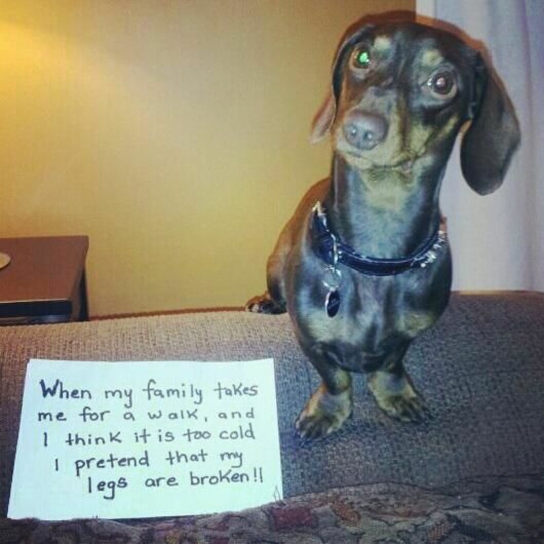 Via: <a href="http://imgur.com/gallery/gxCMrvN" target="_blank">imgur</a> loldamn-1