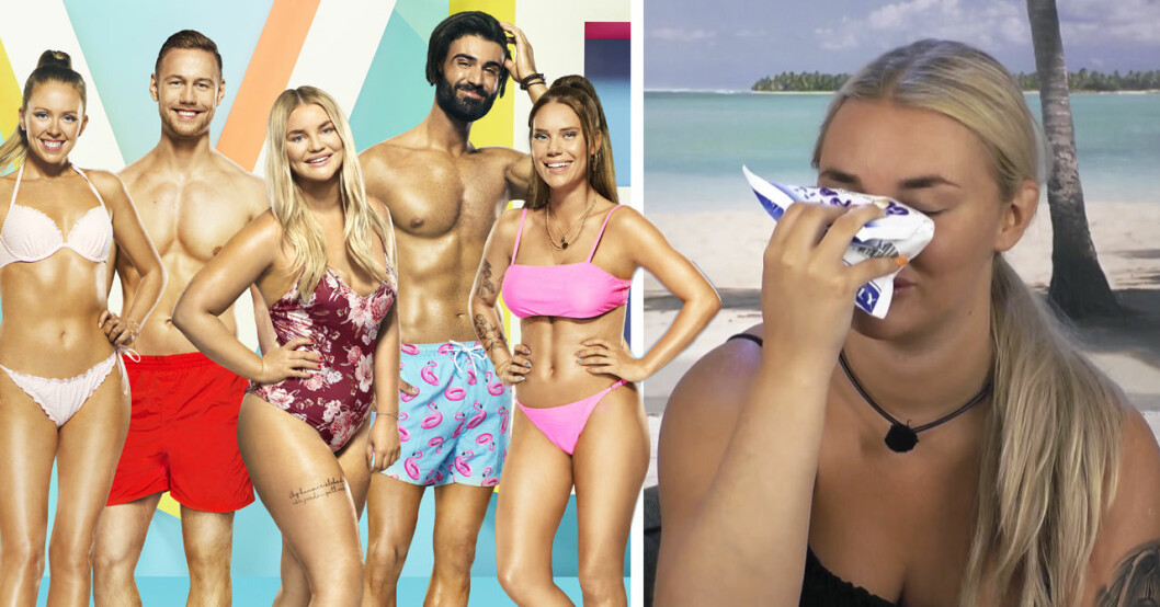 Därför har TV4 tagit beslutet att inte göra något för att ta bort getingarna på Love Island.