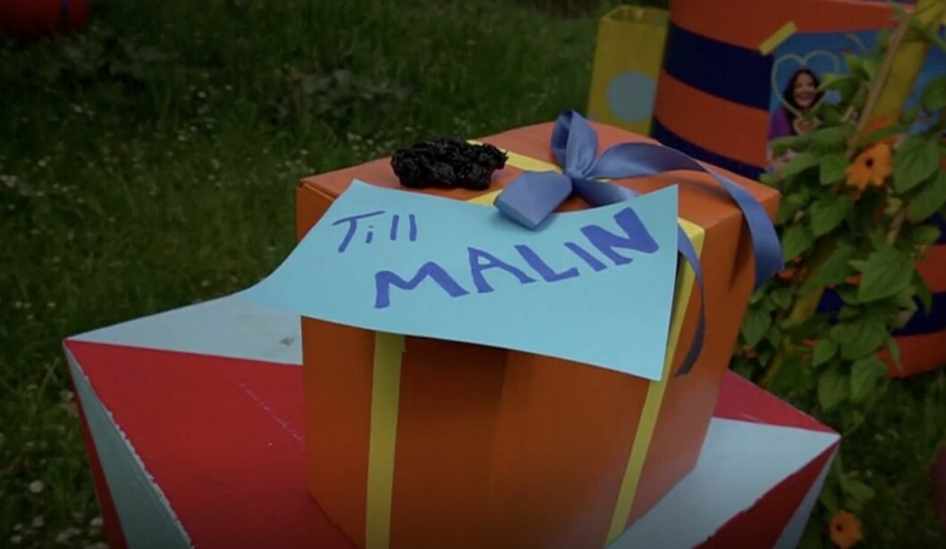 FOTO: SVT Malin present