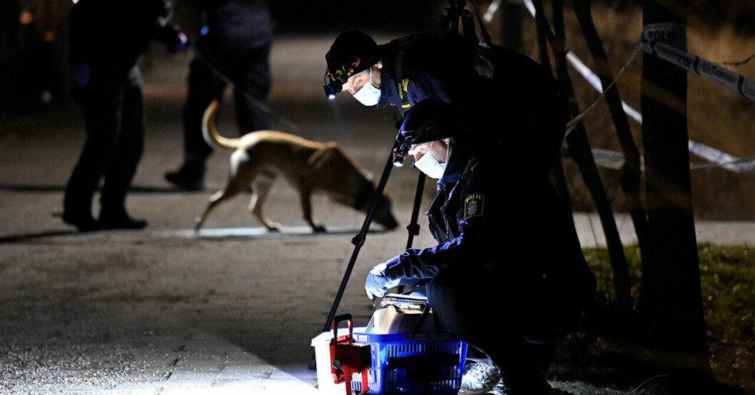 Skottlossning i Malmö under natten – ingen skadad