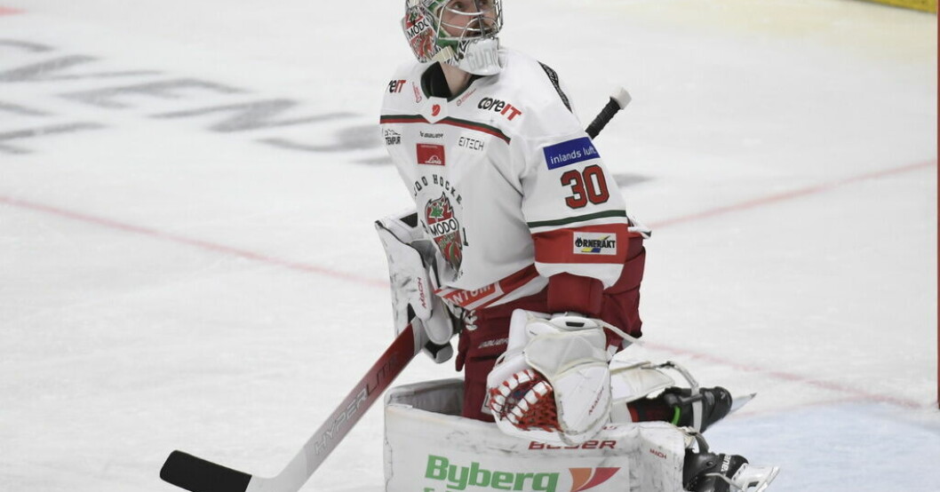 Målvakten Kristers Gudlevskis var en av Modos matchhjältar i den första hockeyallsvenska finalen. Arkivbild. Finalfördel Modo – Garpenlöv domarkritisk