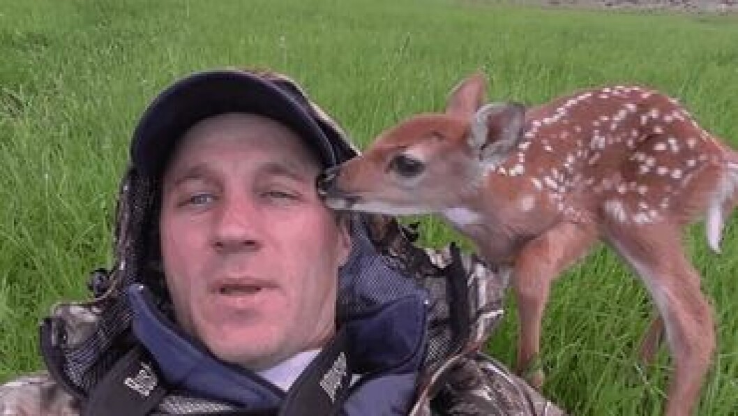 man-saves-injured-baby-deer-animal-friendship-5
