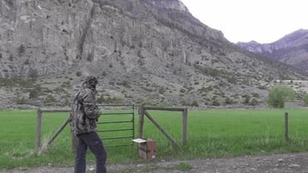man-saves-injured-baby-deer-animal-friendship-8