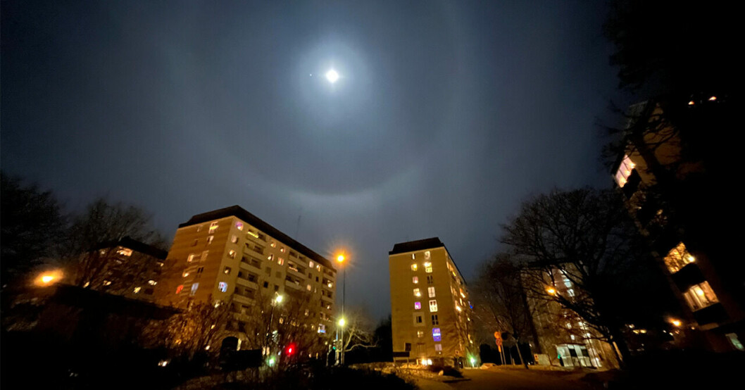 En månhalo siktades i skyn i natt i Stockholmsområdet