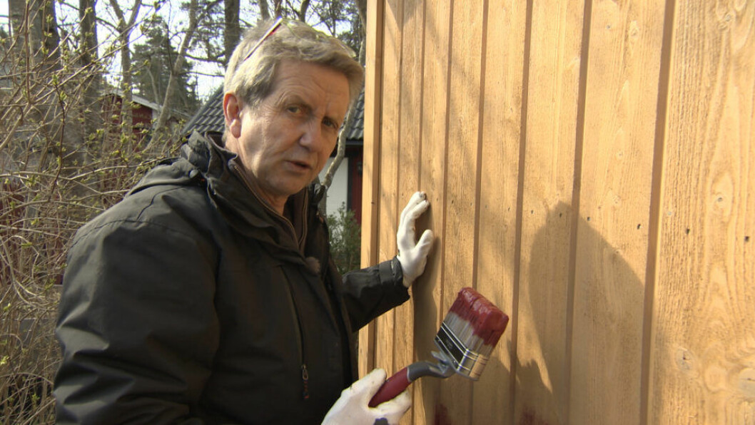 Idag är Martin Timell glad att han blev programledare istället för präst.
