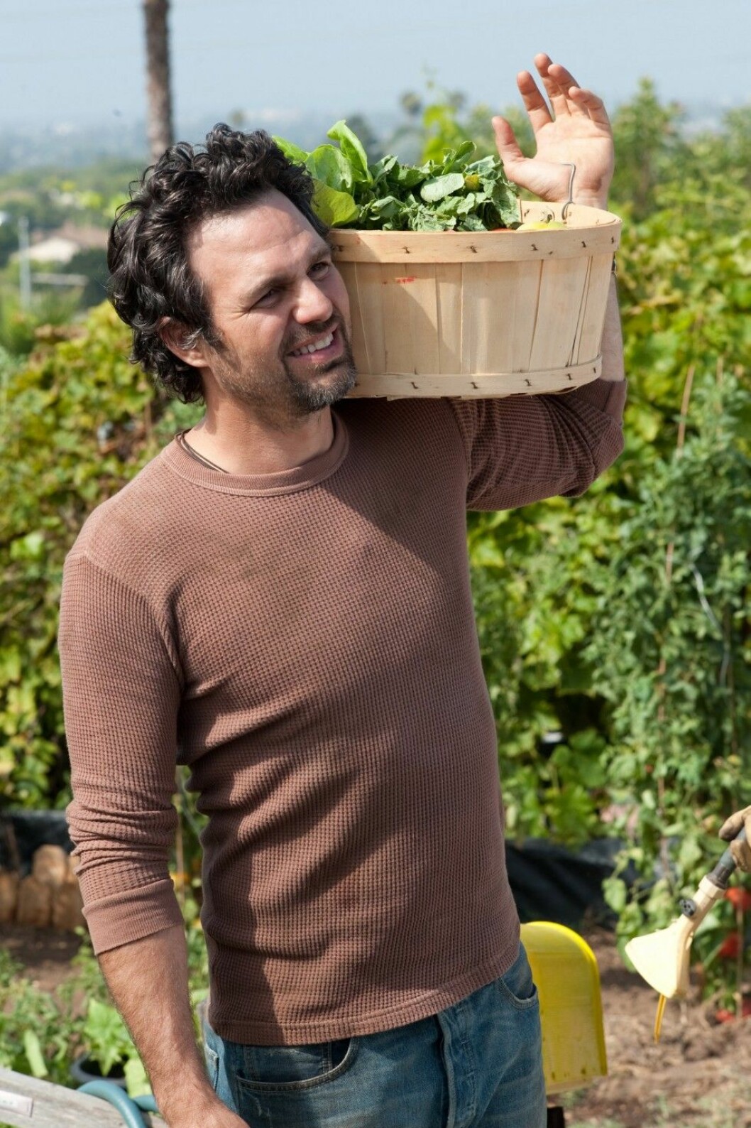Foto: IBL THE KIDS ARE ALL RIGHT, Mark Ruffalo, 2010, Ph: Suzanne Tenner, © Focus Features/courtesy Everett Co
