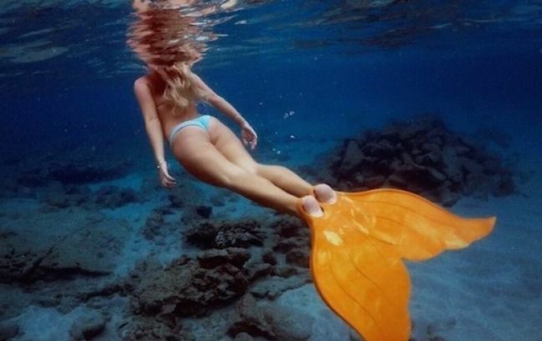 Via: Thegadgetflow mermaid-fin