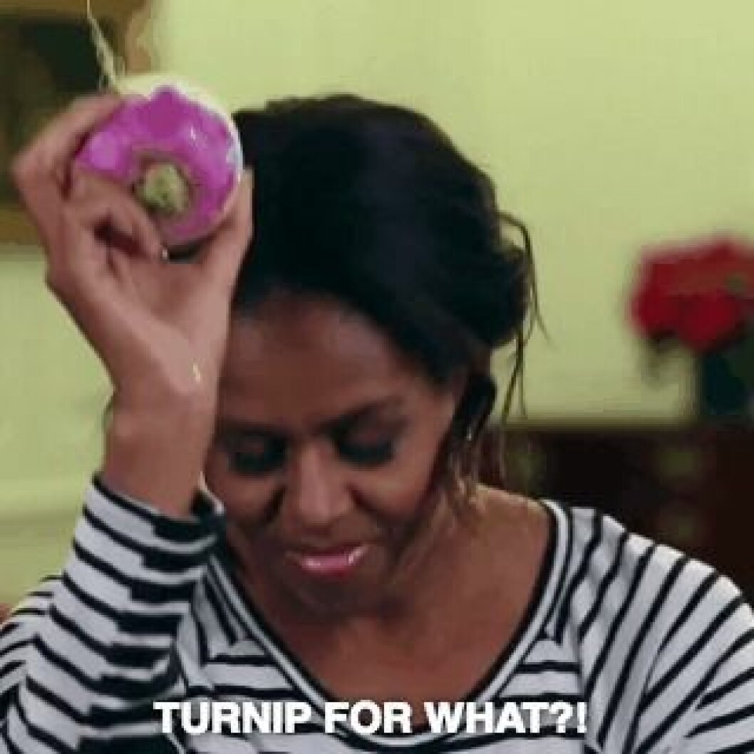 Källa:<a href="http://giphy.com/search/turnip-michelle" target="_blank"> Giphy</a> michelleobama