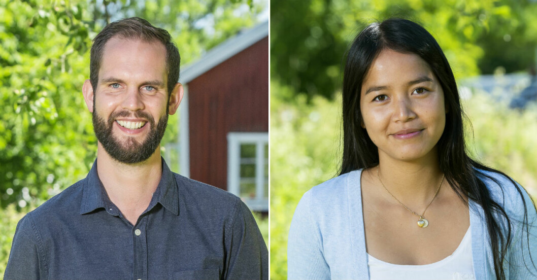 FOTO: SVT Miha Alvesson och Niclas Gråberg