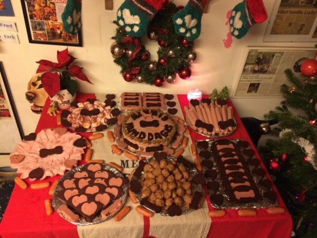 Mumsigt julbord va? mimmis-hunddagis-1