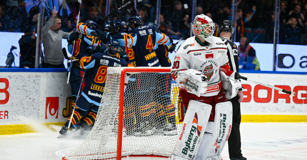 Modos målvakt Kristers Gudlevskis deppar samtidigt som Djurgårdsspelarna har kramkalas efter förlängningsavgörandet. Irriterad Modotränare: "Inget vi ville ha"