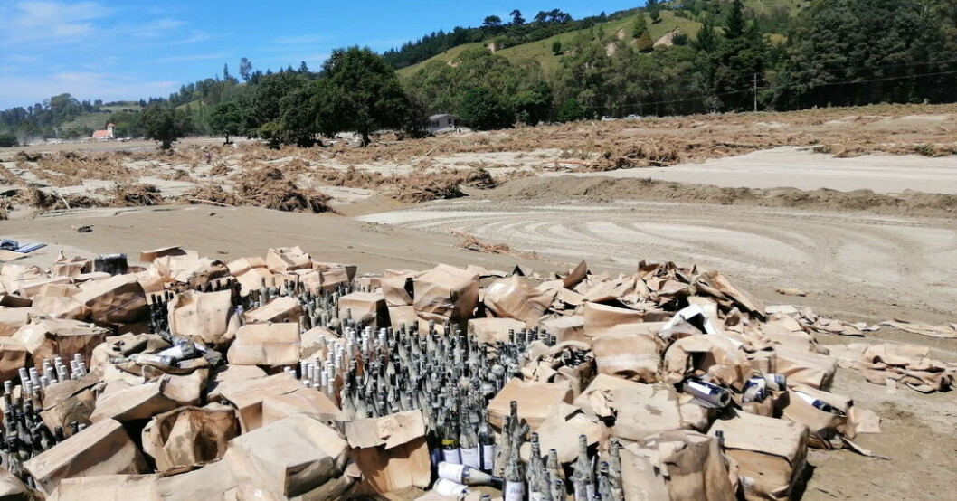 Tiotusentals vinflaskor grävs fram ur slammet