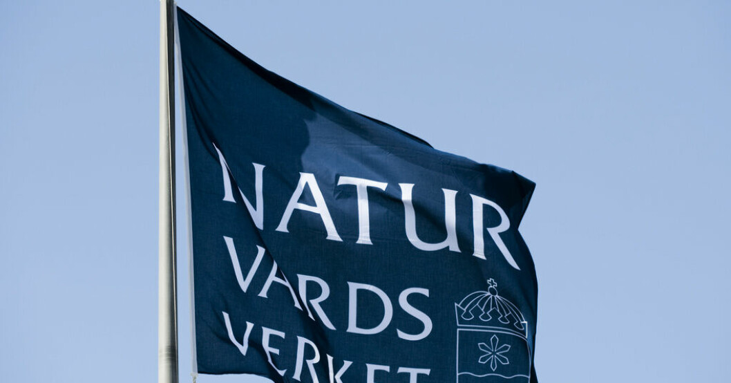 Naturvårdsverket delar ut bidrag till miljöorganisationer. Arkivbild. Miljoner i bidrag till miljöorganisationer