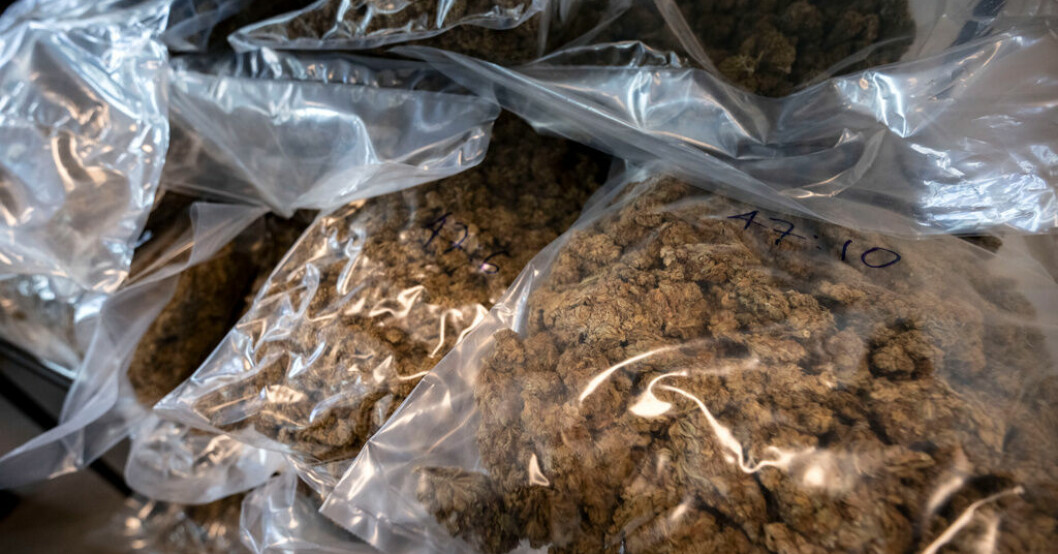 Nätverket misstänks bland annat ha smugglat stora mängder cannabis. Arkivbild. Smugglade knark gömt i lastbilar – 19 gripna