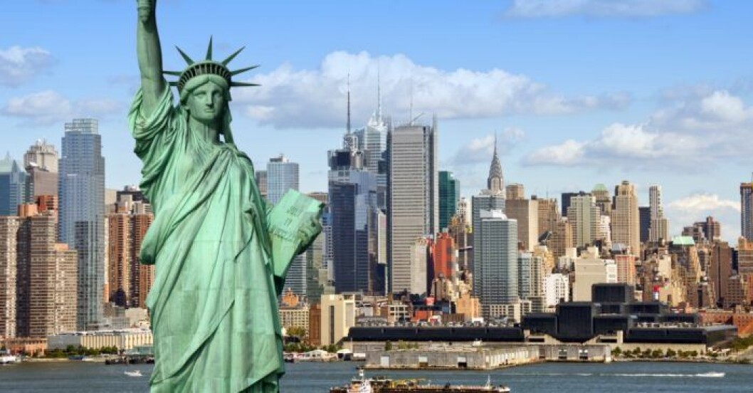 New York Black Friday