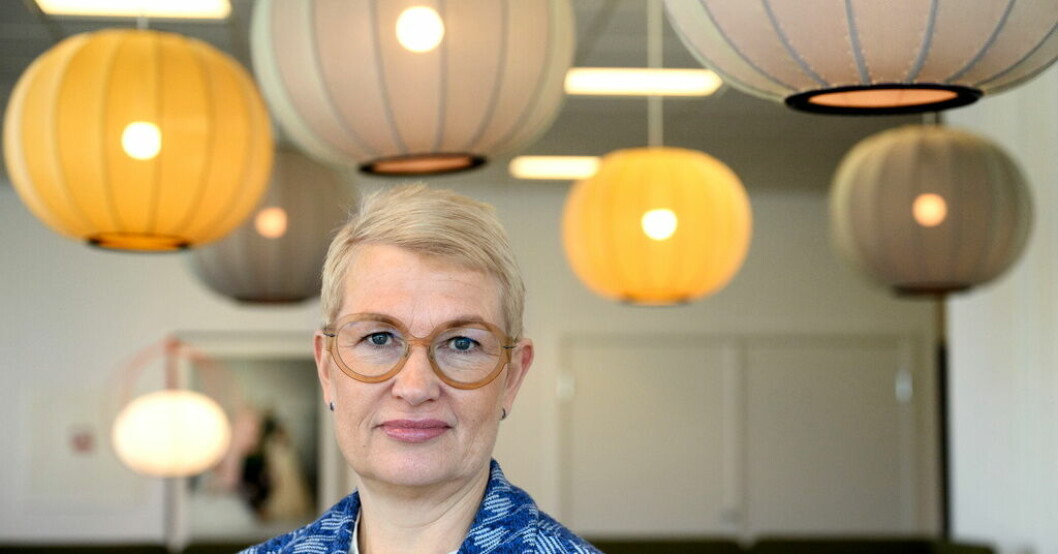 Nina Jönsson, vd för Ica-gruppen. Icatoppen välkomnar konkurrens om matpriserna