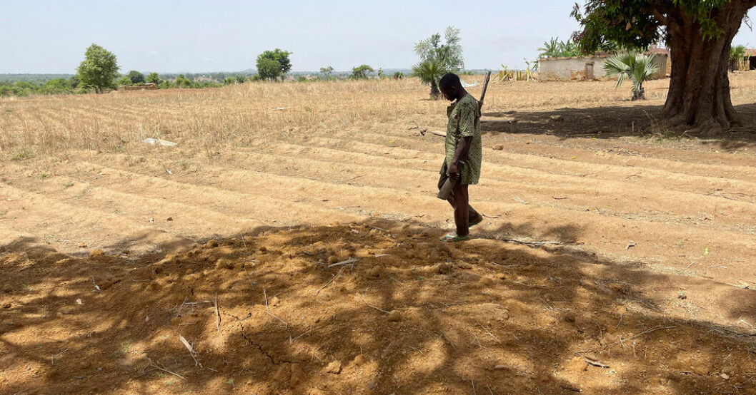 Norra Nigeria är regelbundet drabbat av våld och sammandrabbningar mellan jordbrukare. Arkivbild. Vägrade "skyddspengar" – dödades av banditgäng