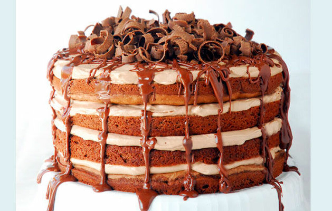Källa: <a href="http://www.thegunnysack.com/2013/05/nutella-chocolate-torte-recipe.html" target="_blank">thegunnysack.com</a> nutella_mat_recept_01